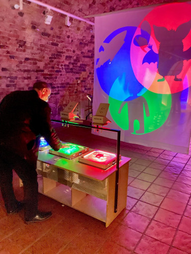 Tipp für die Sommerferien: Die Mitmach-Ausstellung „Lichtspiele“ im Historischen Museum Schloss Gifhorn