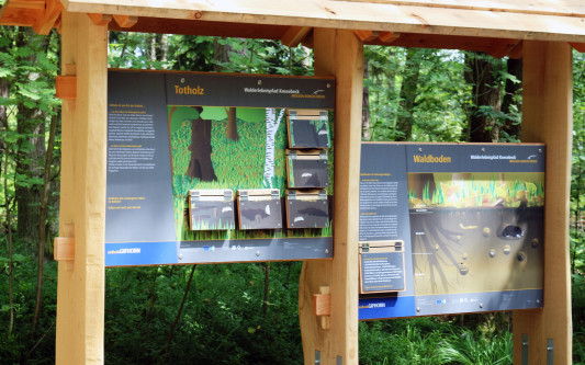 Unterwegs in Gifhorn am Lernen und Staunen: Vom Tankumsee bis zum Knesebecker Moor begeistern Erlebniswege und Themenpfade