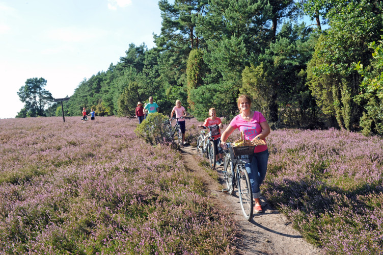 Urlaub in Gifhorn: So erlebt Ihr unsere Stadt im Sommer - KURT-Praktikant Hauke Wiedenroth schlägt Euch 12 Freizeitaktivitäten vor