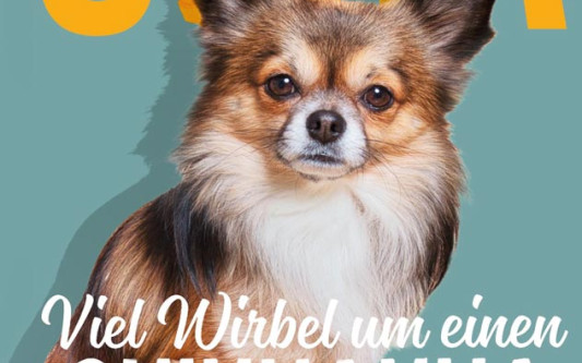 Viel Wirbel um einen Chihuahua: Peter Futterschneider aus Gifhorn legt ein unterhaltsames Buch vor
