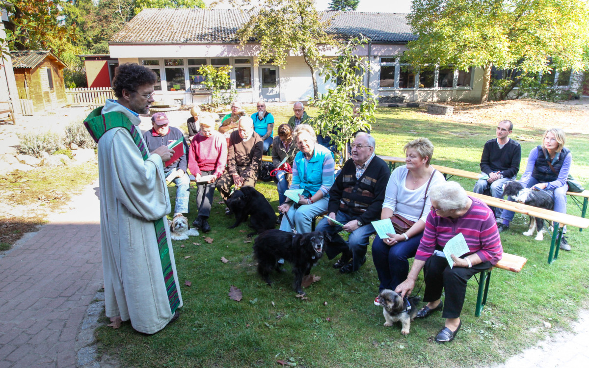 Vier Pfoten und ein Halleluja: Segnungsgottesdienst für Mensch und Tier in Gifhorn