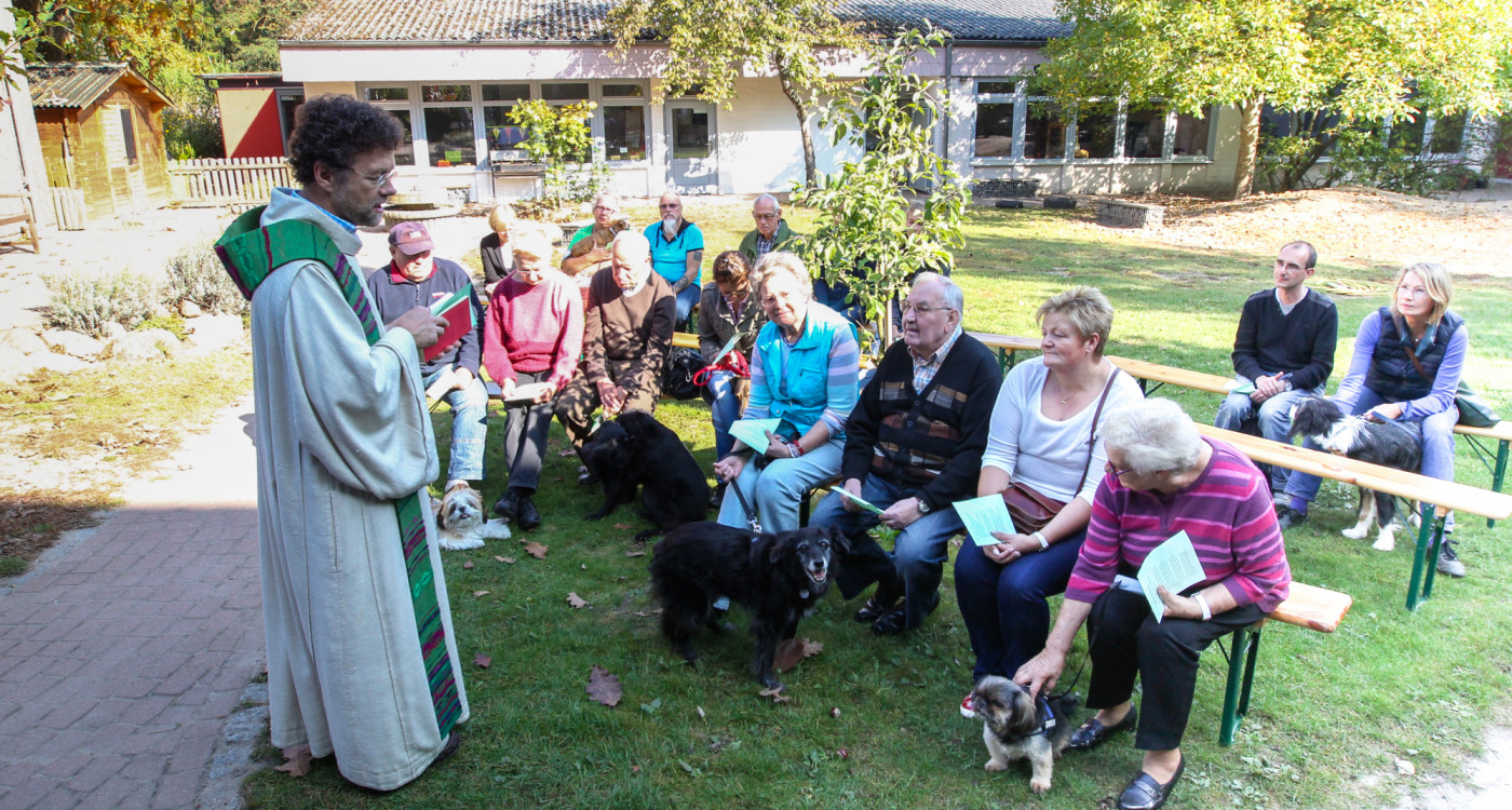 Vier Pfoten und ein Halleluja: Segnungsgottesdienst für Mensch und Tier in Gifhorn