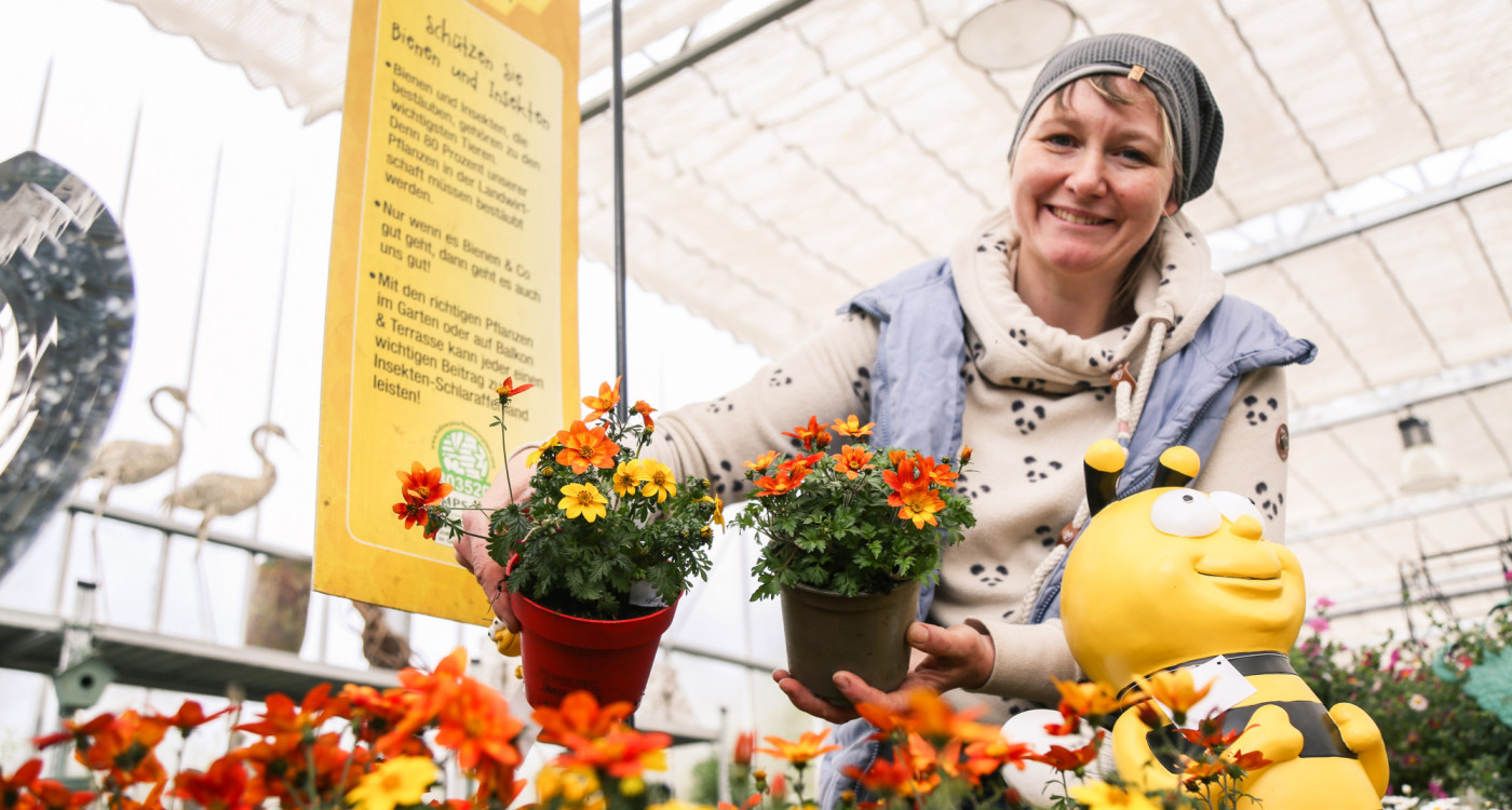 Von Bienchen, Blümchen und bunten Blüten - Mit diesen Tipps ist der Sieg beim Gifhorner Balkon-Wettbewerb zum Greifen nah