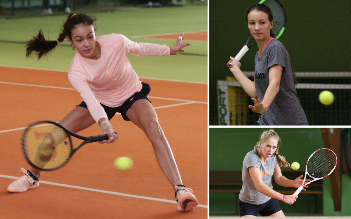 Von der Gifhorner Bleiche auf die große Tennisbühne: Der TC Grün-Weiß Gifhorn hat sich seit Jahren als wahre Talentschmiede etabliert