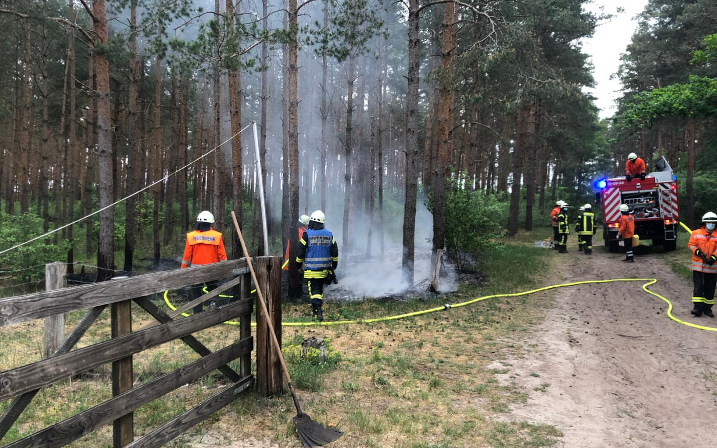 Waldbrand bei Müden - Einsatz der Feuerwehr erfolgreich beendet