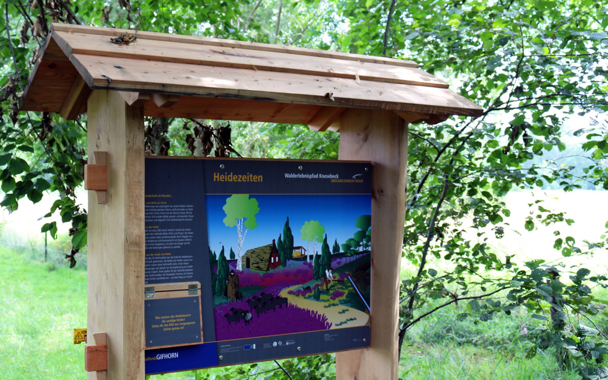 Wanderwege durch Gifhorns Naturwelten - Erlebnis- und Naturlehrpfade zeigen die landschaftliche Vielfalt unserer Region