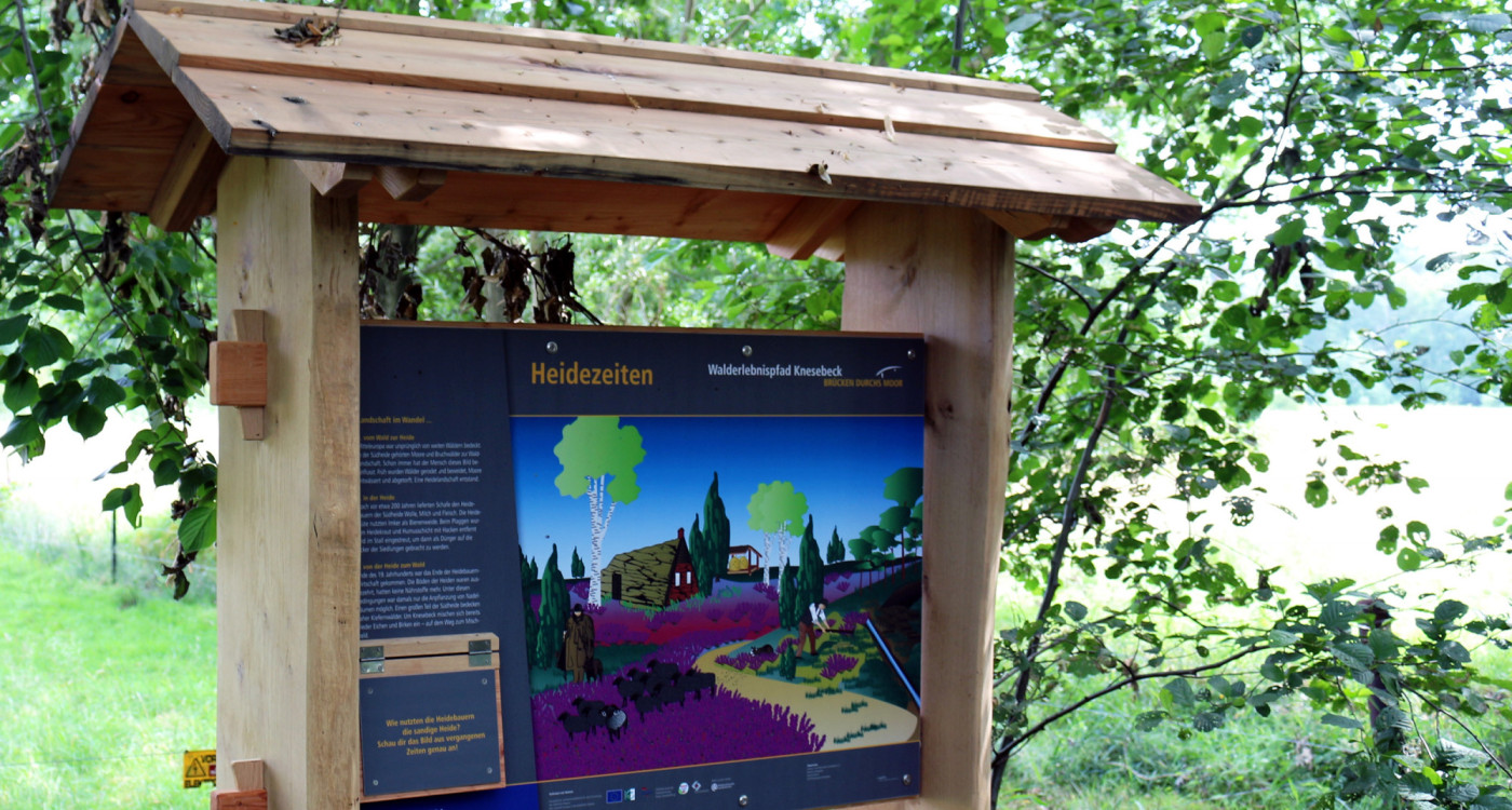 Wanderwege durch Gifhorns Naturwelten - Erlebnis- und Naturlehrpfade zeigen die landschaftliche Vielfalt unserer Region