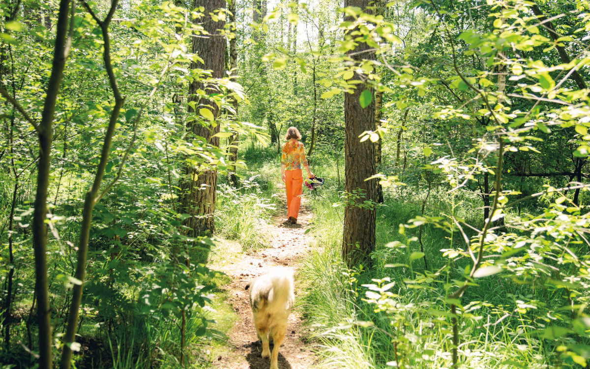Was macht eigentlich eine Seelenwegweiserin? Kerstin von Aswegen aus Gifhorn berät und coacht Menschen und Tiere