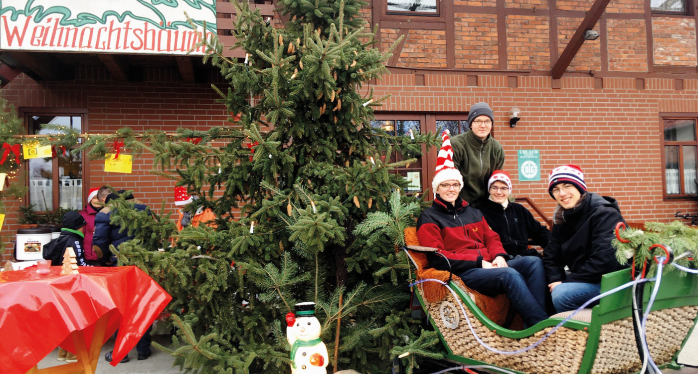 Weihnachtsbäume gibt‘s hier seit 30 Jahren: Familie Müller verkauft auf dem Hof - und liefert die Festtagstanne bei Bedarf