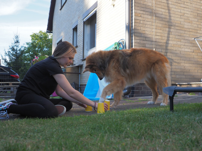 Wer meistert die Tricks am besten? KURT-Praktikantin Lara Emily Strauss und ihr Nachbar Finn testen ihre Hunde