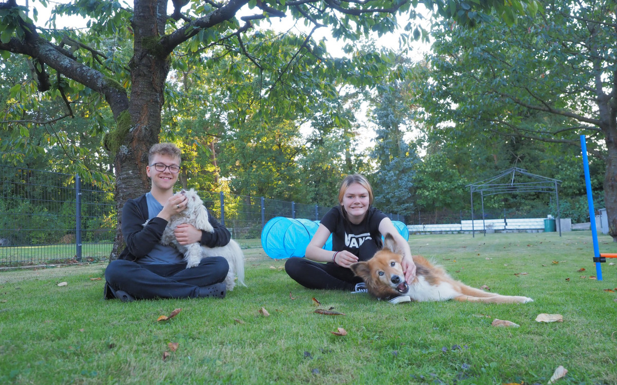 Wer meistert die Tricks am besten? KURT-Praktikantin Lara Emily Strauss und ihr Nachbar Finn testen ihre Hunde