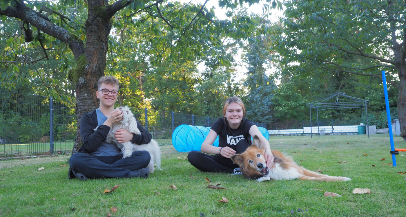Wer meistert die Tricks am besten? KURT-Praktikantin Lara Emily Strauss und ihr Nachbar Finn testen ihre Hunde