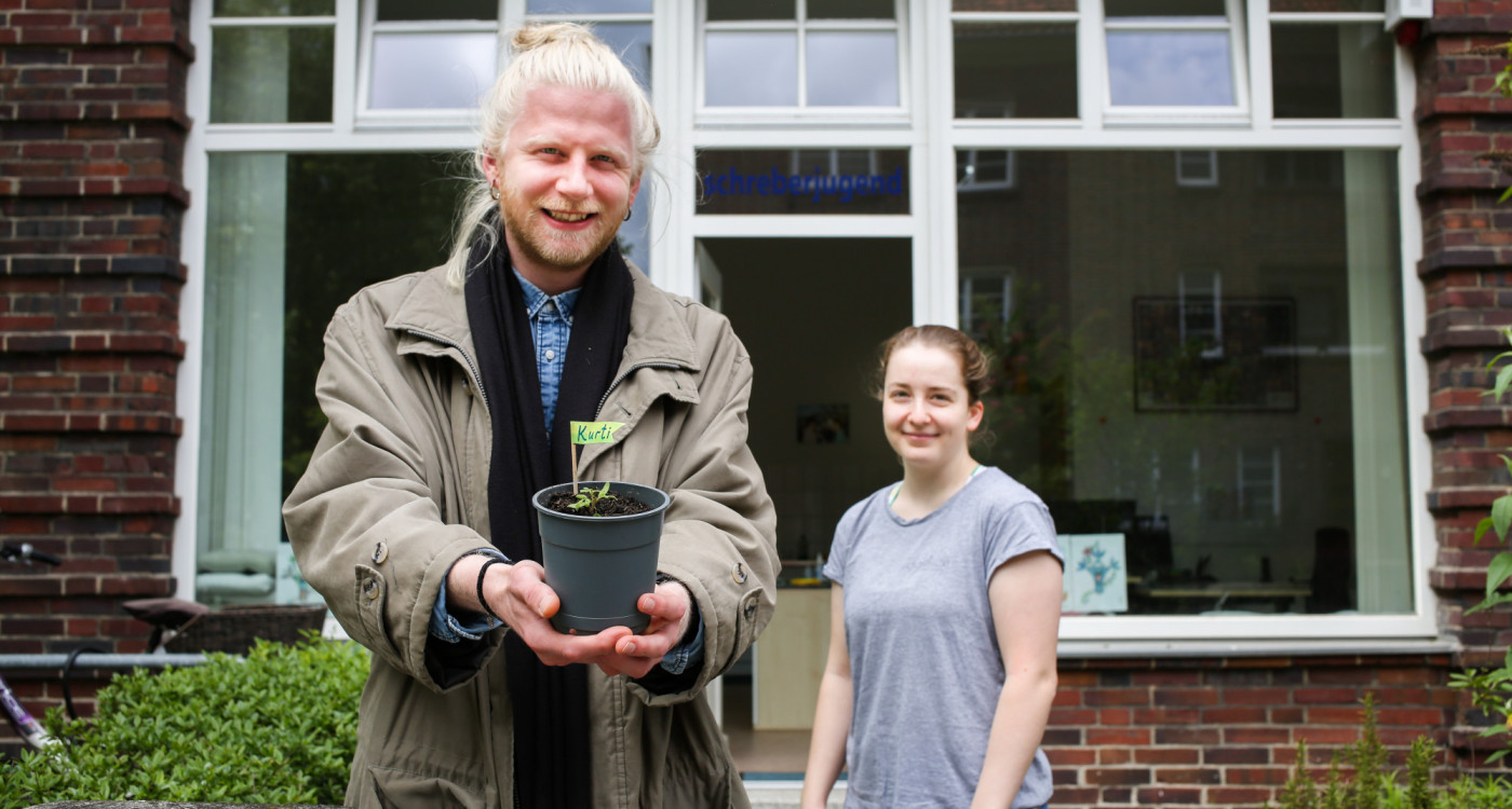 Wir sind Tomaten-Pate: Kurti wächst und gedeiht -  60 Mini-Buschtomaten sind bei der Schreberjugend Niedersachsen abholbereit