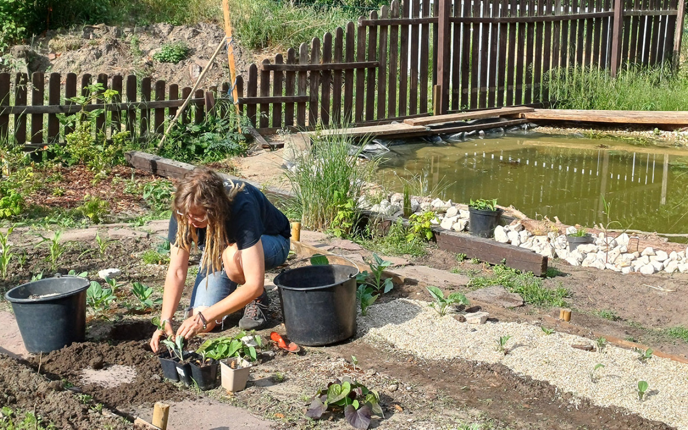 Wo Libellen tanzen und Hühner scharren: Der neue Schaugarten beim Gifhorner Kinderschutzbund lädt zum Entdecken ein