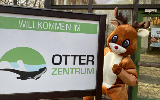 Zauberhafter Wintermarkt im Otter-Zentrum Hankensbüttel am kommenden Wochenende