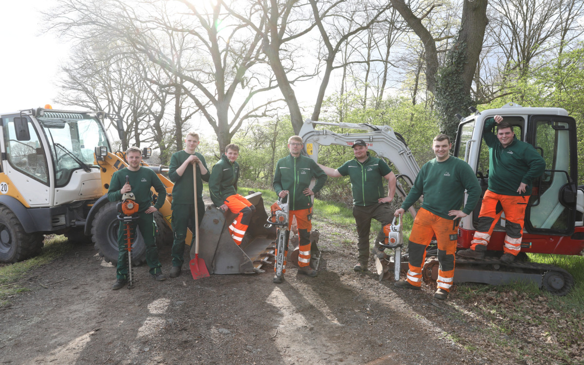 Zum Frühling bringen sie Gärten in Schuss: Baron BBG Service aus Wasbüttel pflegt Bäume, baut Gärten und liefert Brennholz